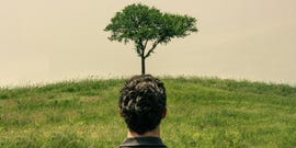 how nature helps your mind