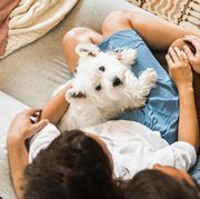 couple and dog on a couch