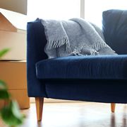 blue velvet sofa in living room with boxes