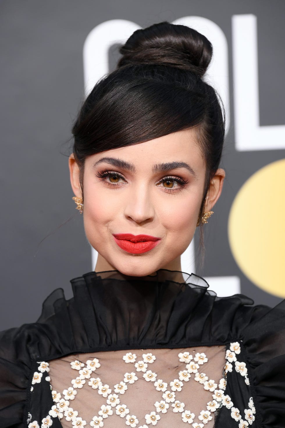 Sofia Carson - Best Updos for Long Hair