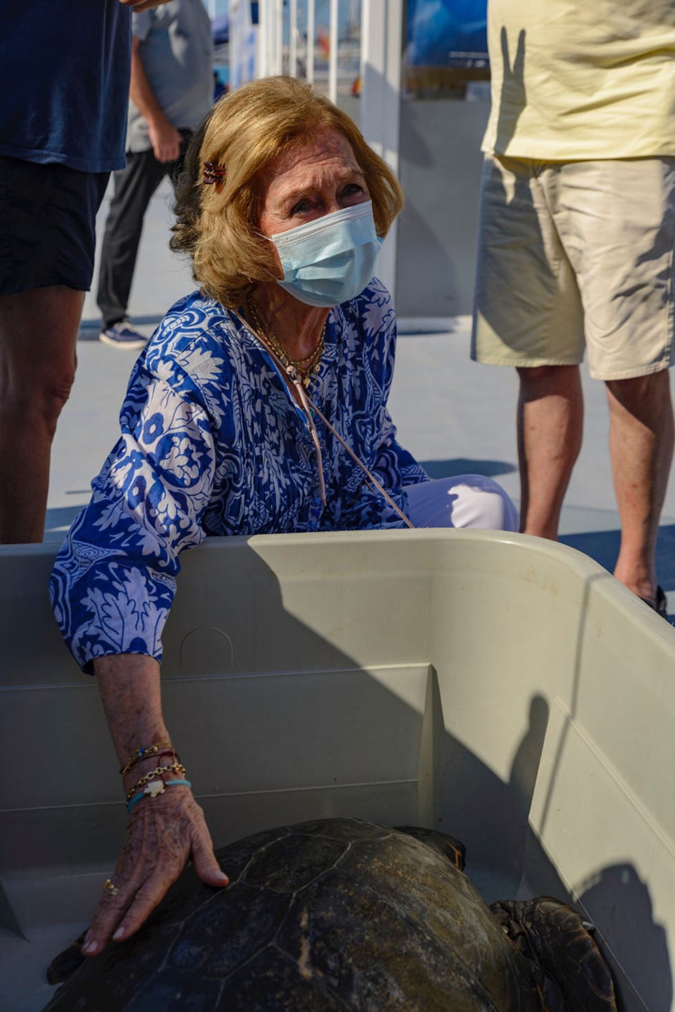 doña sofía  participa en la liberación de una tortuga marina en la bahía de palma