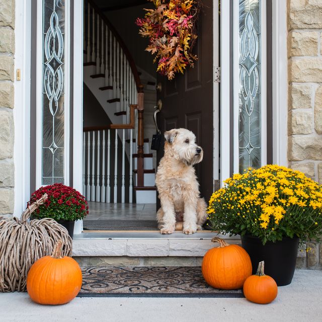 20 Best Fall Door Decorations Cute Front Decor Ideas