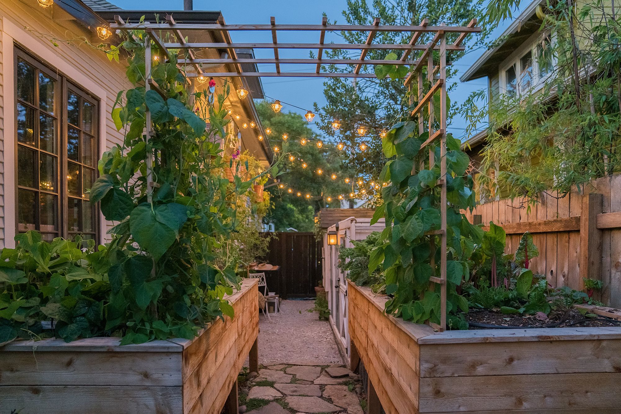 garden with string lights