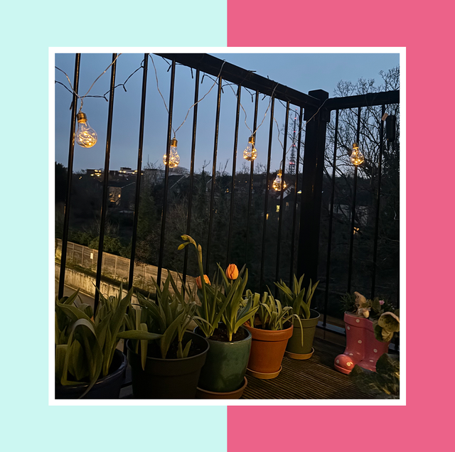 solar lights solar lights