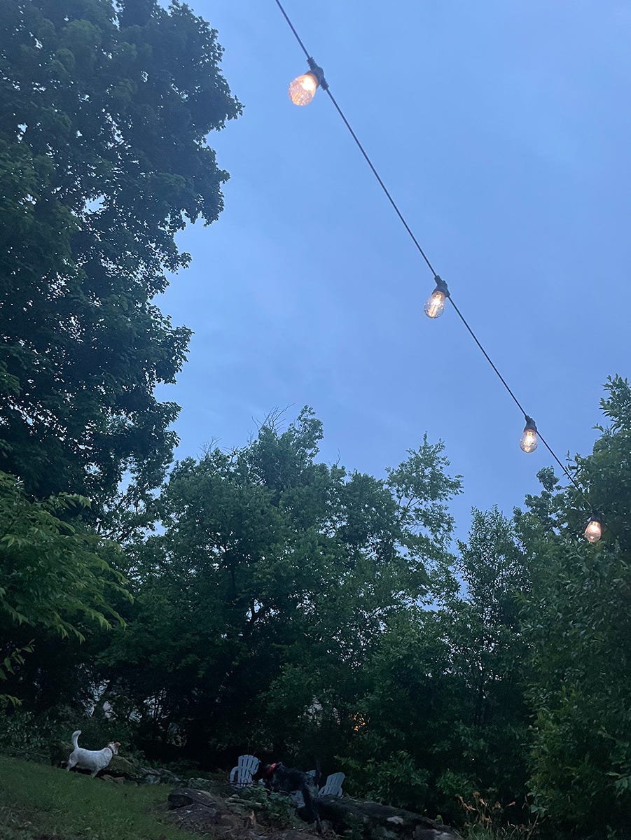 outdoor string lights lit in a backyard