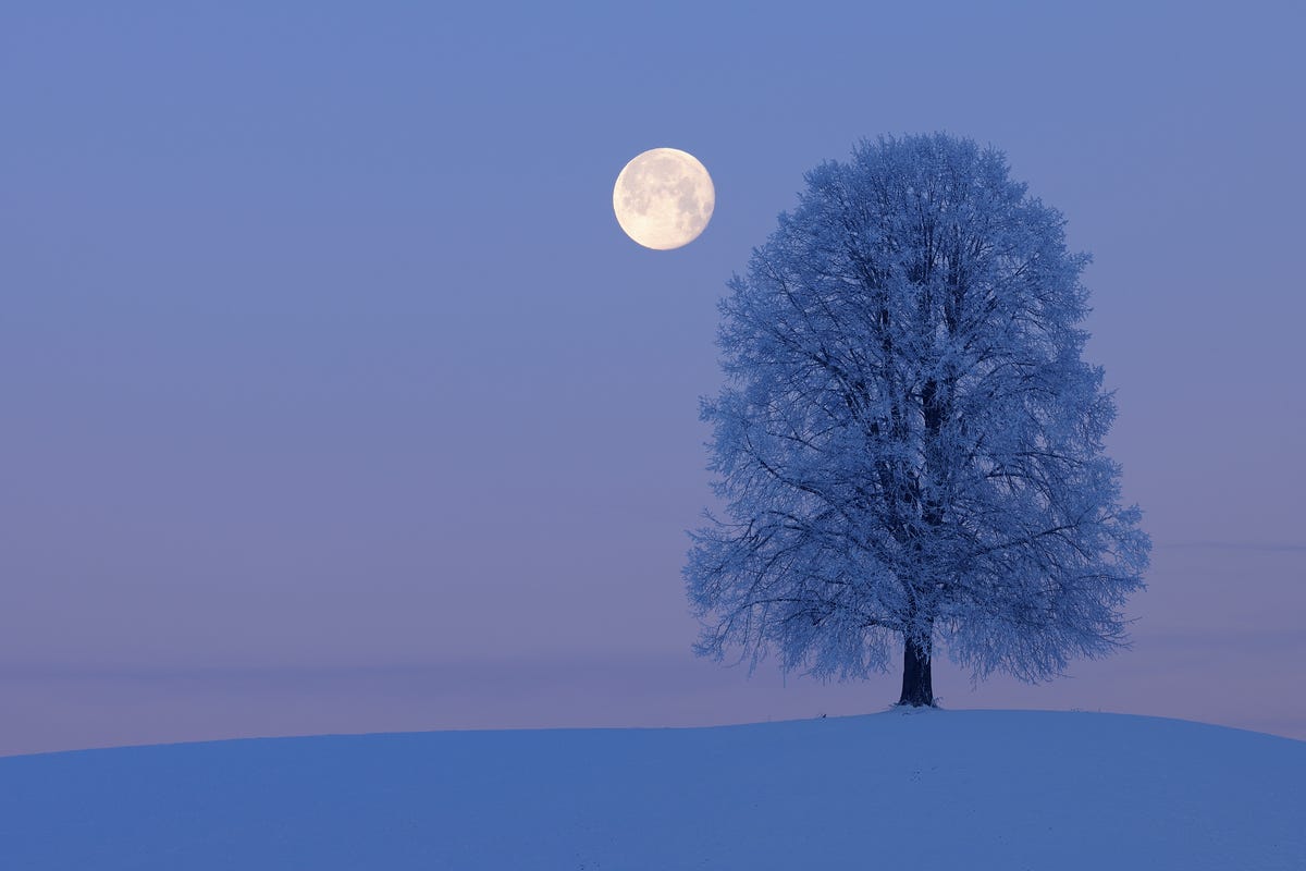 What February's Full Snow Moon In Leo Means For Your Sign