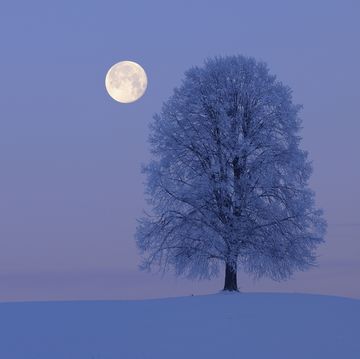 full moon in gemini december 2022