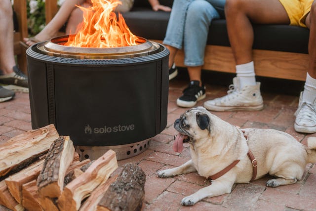 a solo stove with screen on it and a dog nearby