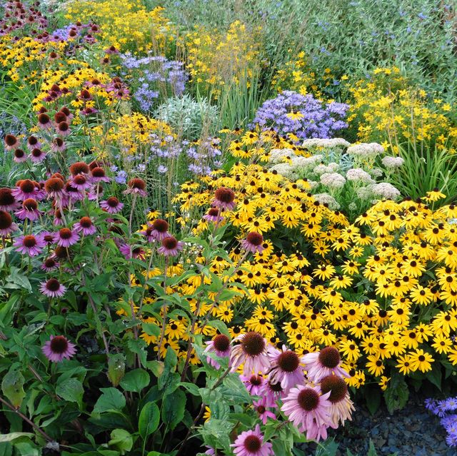 30 Best Early Spring Flowers - Early-Blooming Garden Flowers