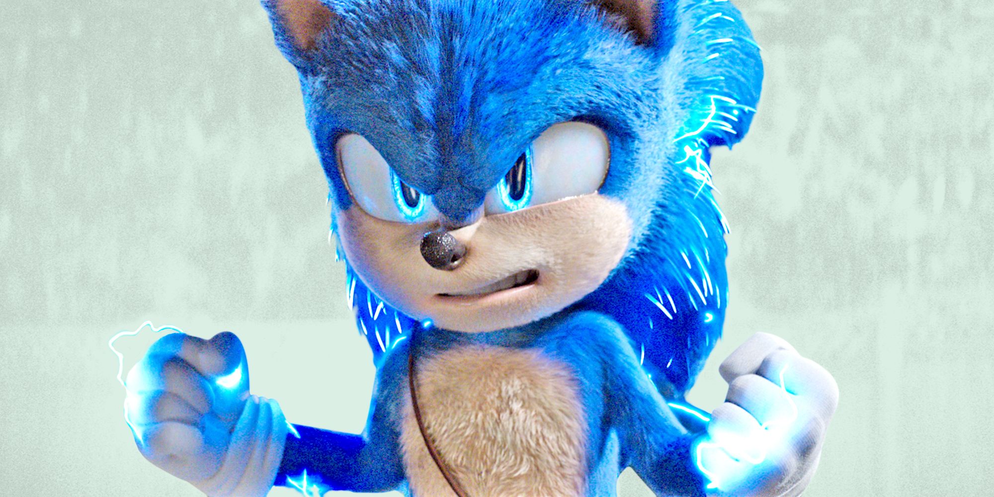 Sonic the Hedgehog: Sonic the Hedgehog 2: The Official Movie