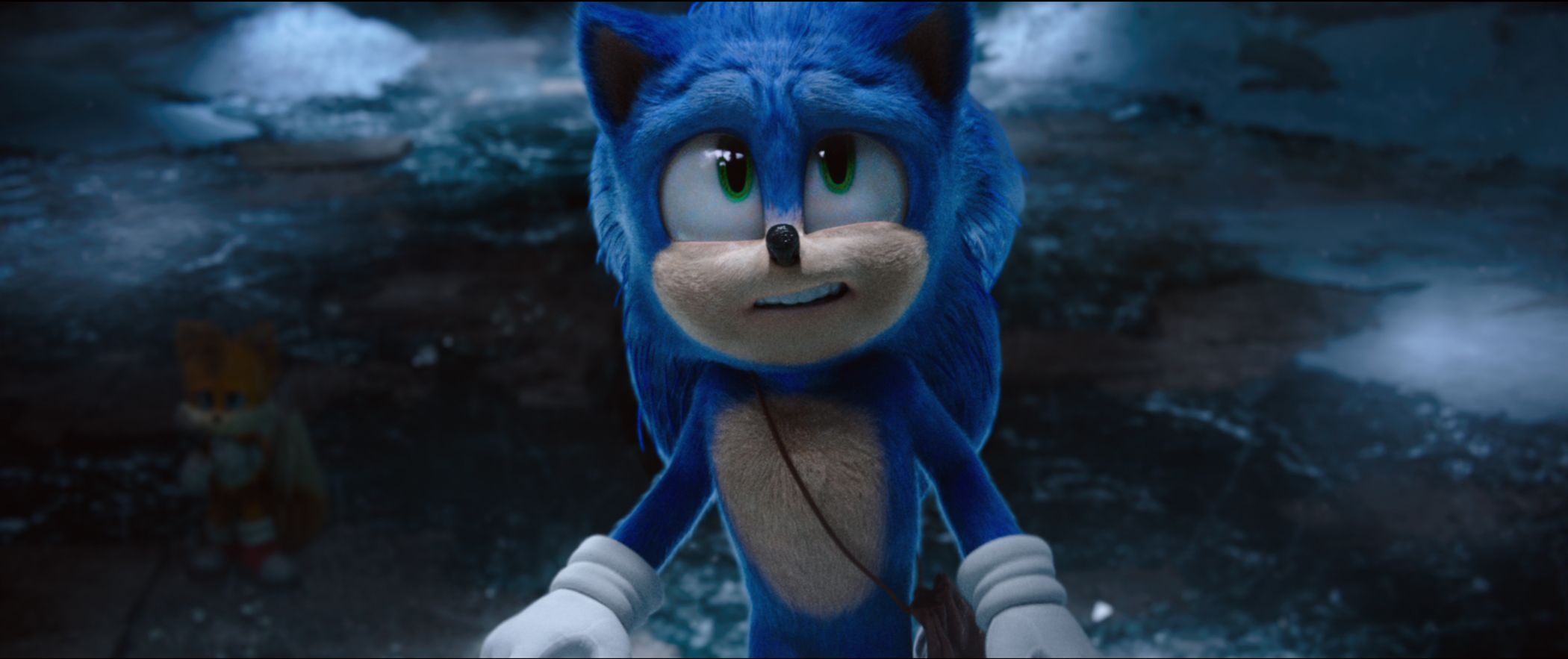Why did Shadow the Hedgehog have a gun?