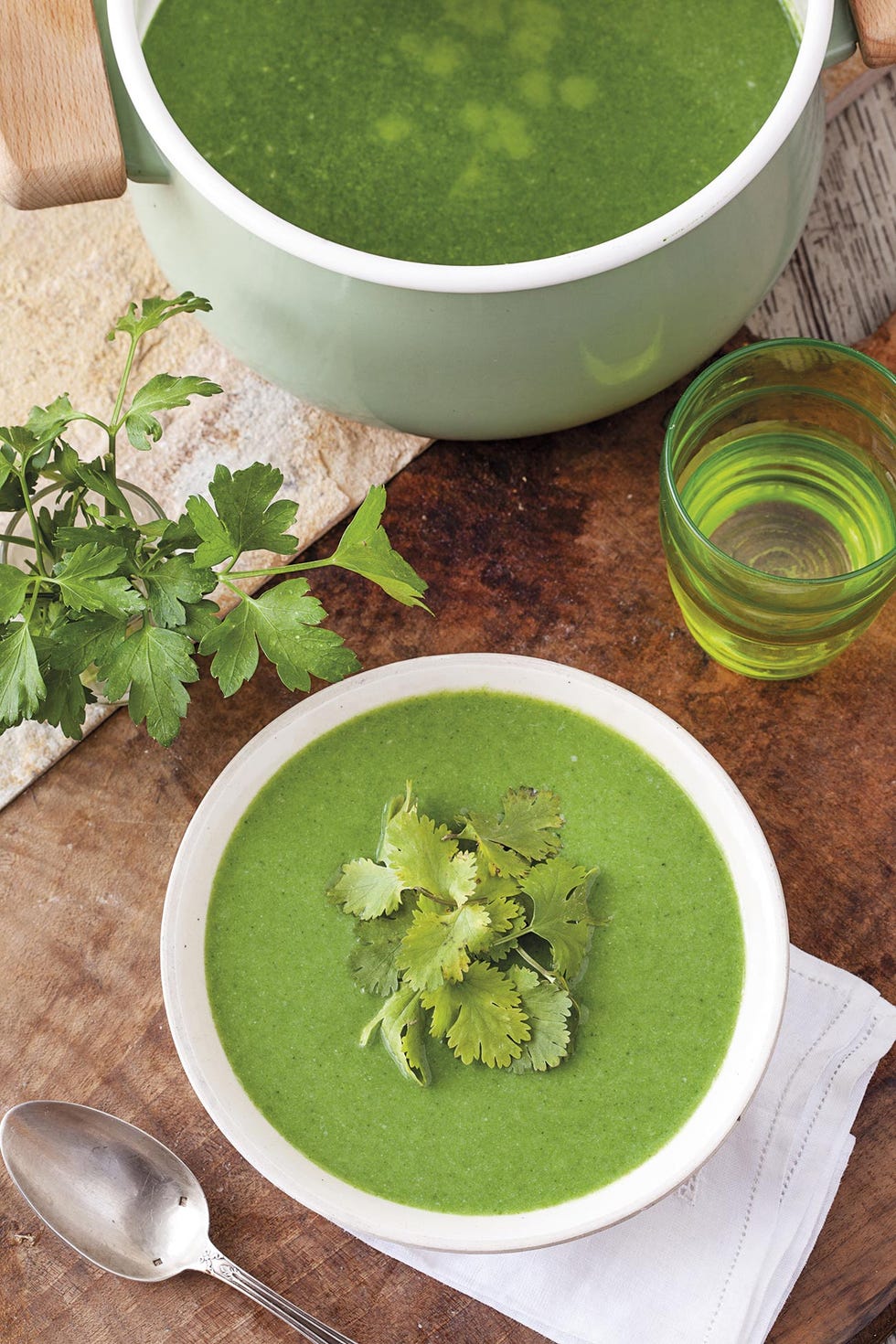 sopa verde detox