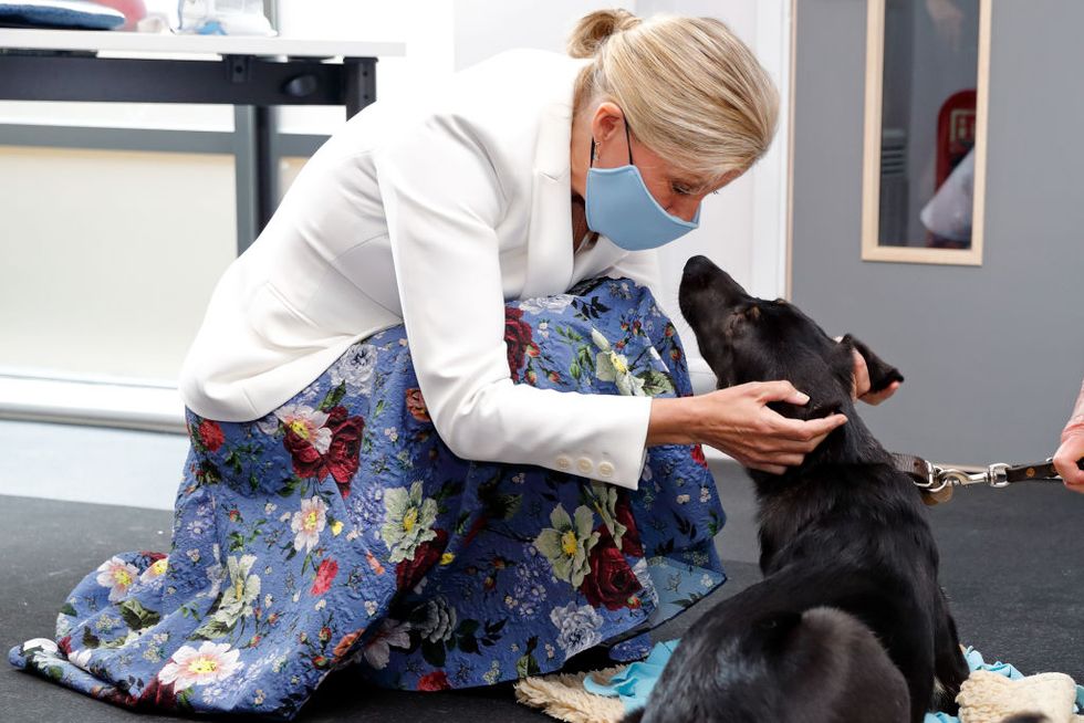 the countess of wessex and princess alexandra visit guide dogs for the blind