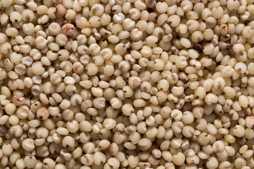 sorghum grain