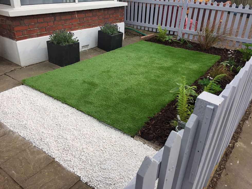 Grass, Lawn, Property, Courtyard, Artificial turf, Yard, Groundcover, Shrub, Walkway, Plant, 