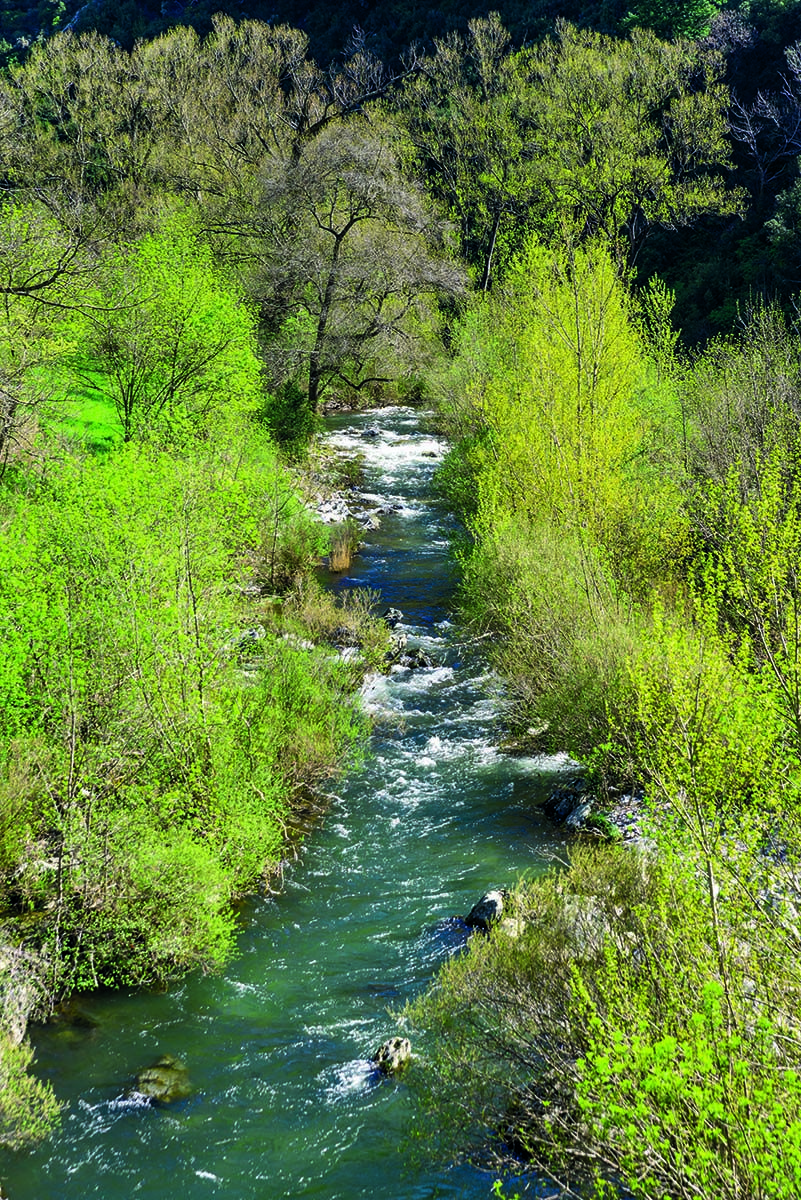 Body of water, Natural landscape, Nature, Stream, Riparian zone, Watercourse, Vegetation, Water resources, River, Water, 