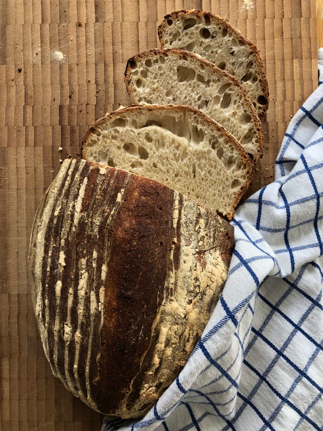 sourdough crumb shot