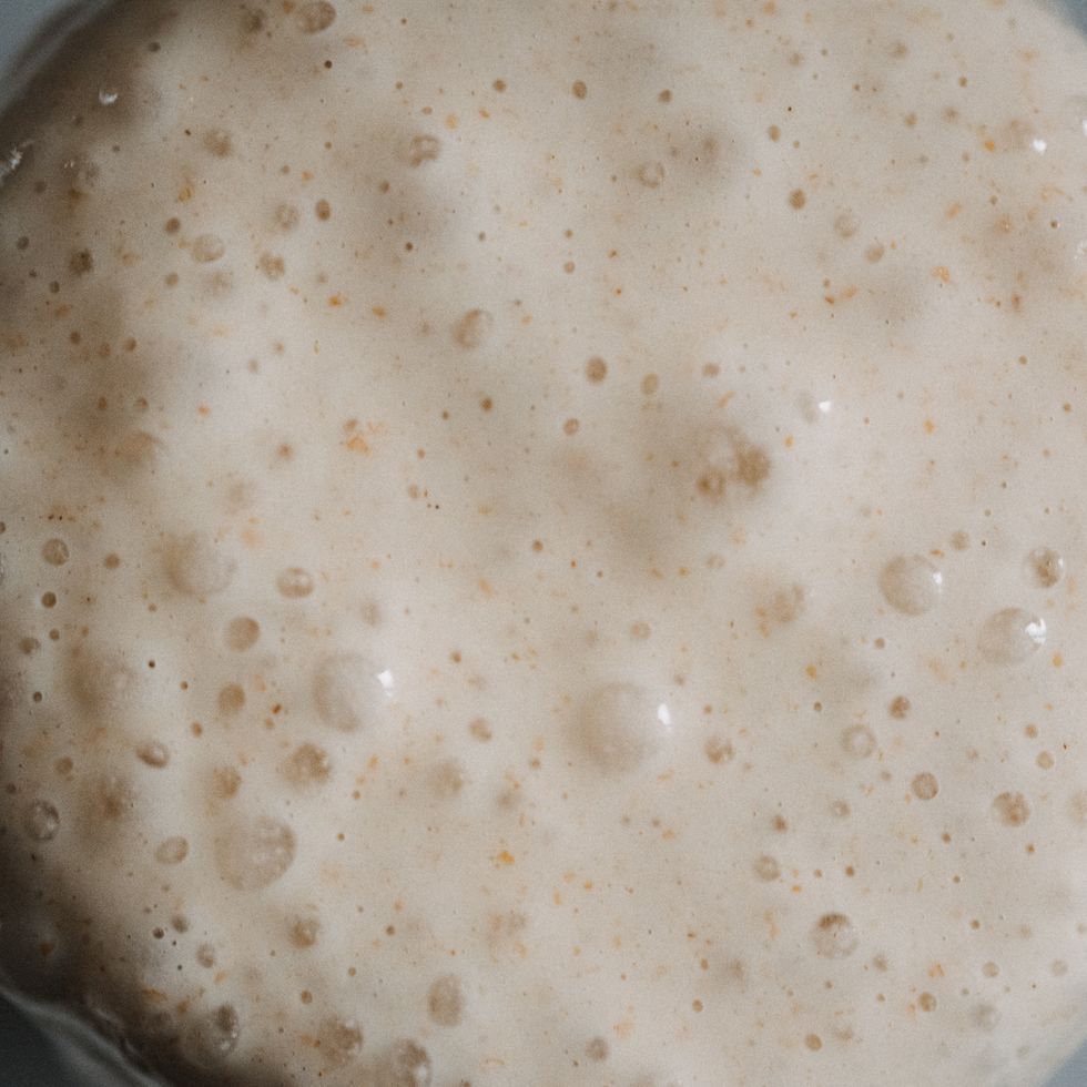 Everything you need to know about yeast