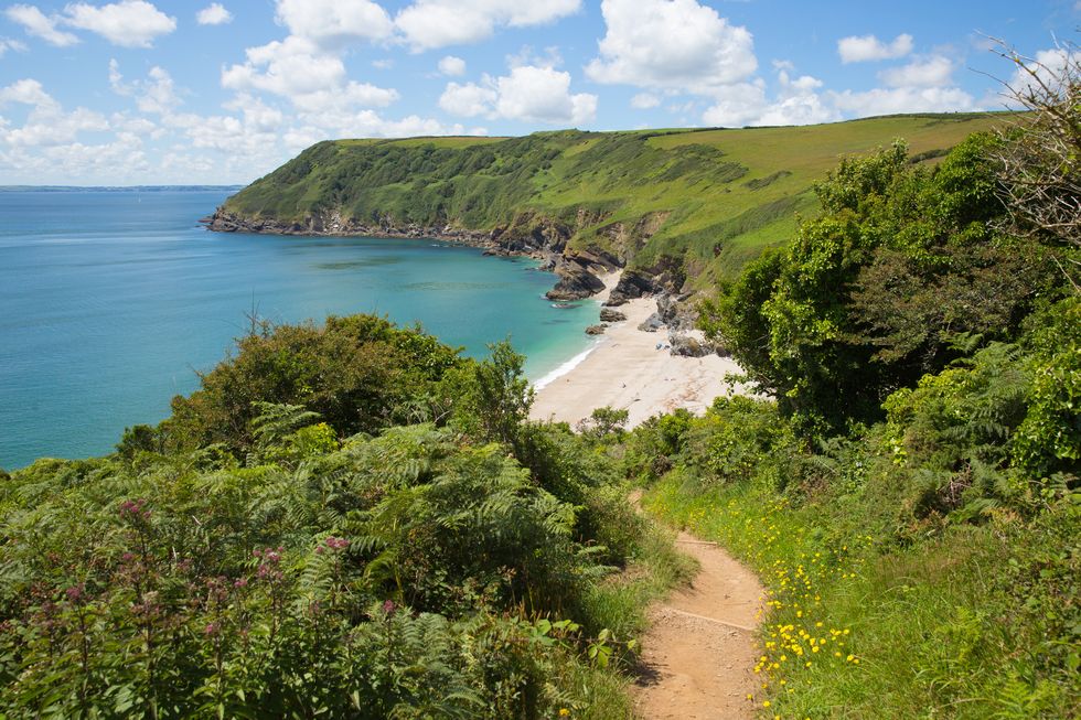 south west coast path lantic bay cornwall england near fowey and polruan with turquoise and blue sea on a beautiful summer day