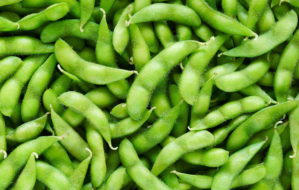 Is Soy Bad For You? - Is Soybean Bad For You?