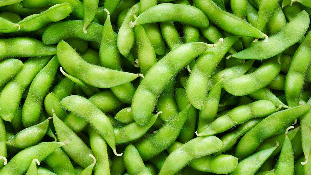 Soy Benefits, Food For Life