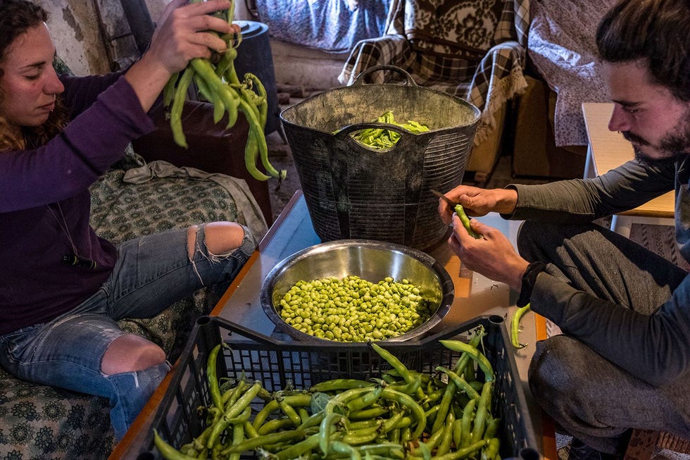 De bewoners van de gemeenschap verdelen de dagtaken zoals wassen en het bereiden van lunch en diner onder elkaar De groenten waarmee wordt gekookt komen uit de eigen moestuin