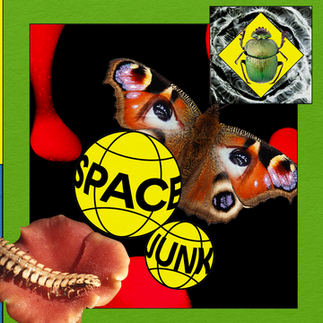 Eclipse season is the new mercury retrograde the moon, a sculpture, and bugs alongside the words space junk