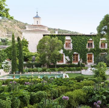 17th century palace in tendilla, spain design by alvaro sampedro beyond a lush oasis dotted with italian cypress and linden trees, boston ivy climbs the spanish palaces facade