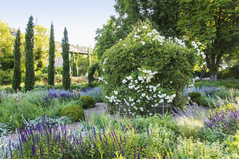These Are the World's Most Beautiful Gardens of 2023