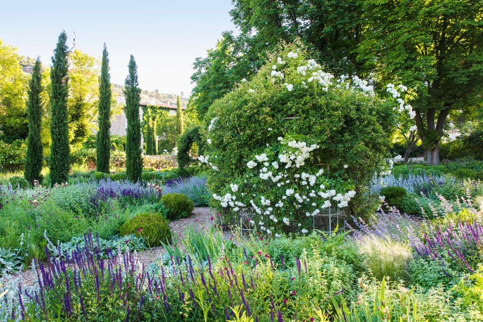 17th century palace in tendilla, spain design by Álvaro sampedro a wispy perennial garden features grasses, nepeta, salvia, yarrow, and irises