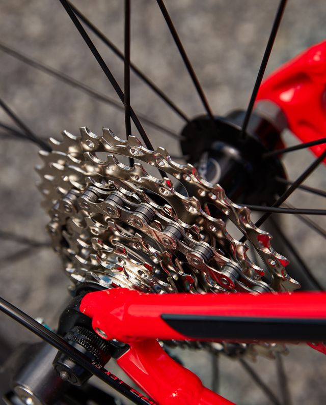 Bicycle wheel, Bicycle part, Bicycle tire, Spoke, Bicycle, Vehicle, Groupset, Rim, Tire, Bicycle drivetrain part, 