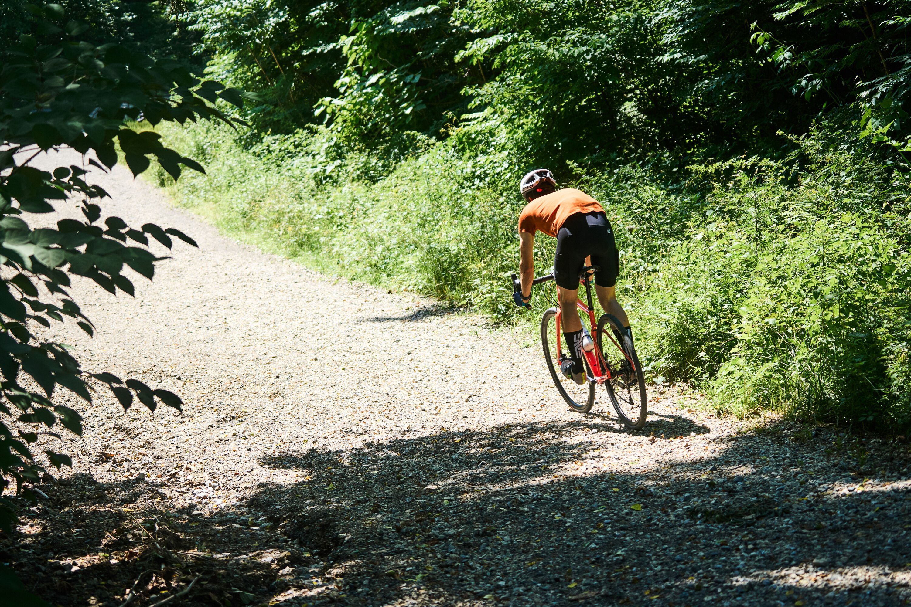 gravel bike green