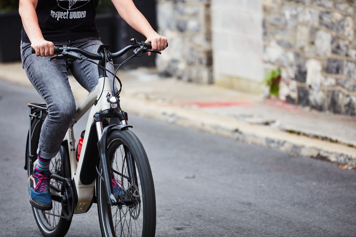 Electric Bike Buying Guide: Explore How To Save Money On EV Bike Purchase 