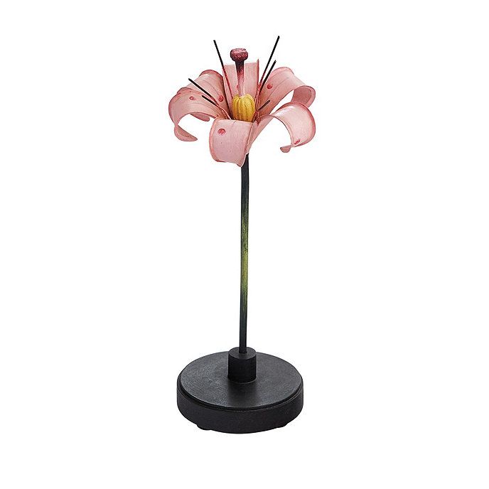 Figurine, Plant, Flower, Interior design, 
