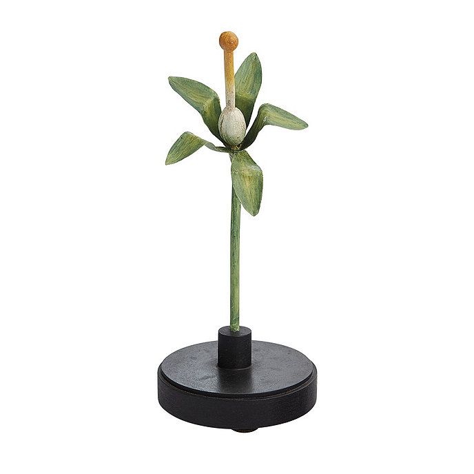 Flowerpot, Plant, Flower, Leaf, Houseplant, Tree, Plant stem, Anthurium, 