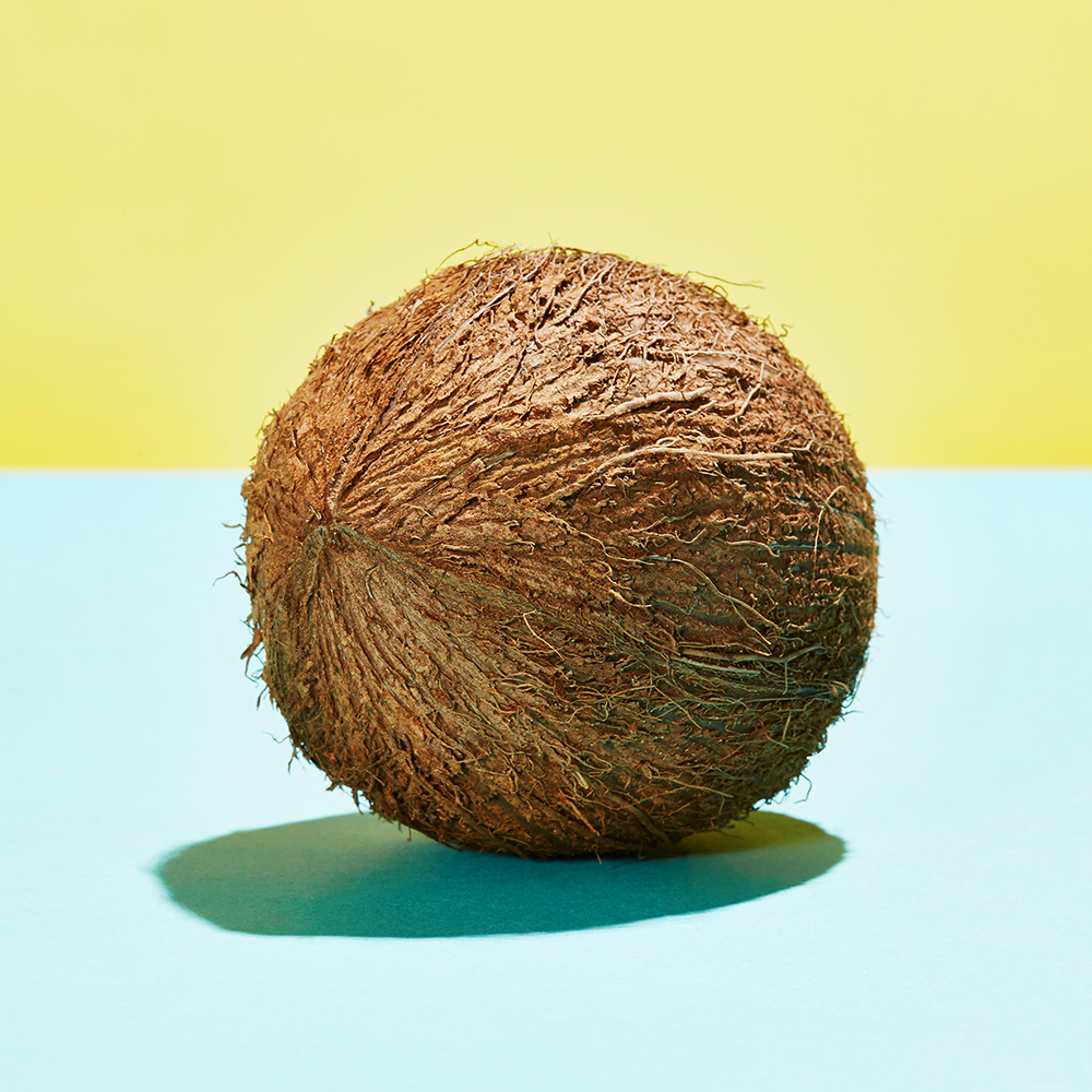 Coconut, Kiwifruit, Plant, Kiwi, 