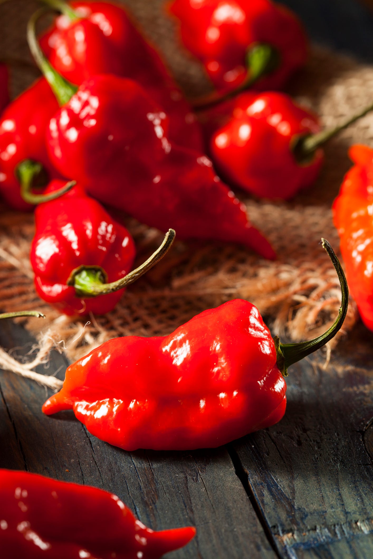 Types Of Peppers — Common Types Of Peppers