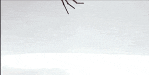 animated gifs show necrobotic spiders gripping and lifting various objects, along with a closeup of one joint flexing