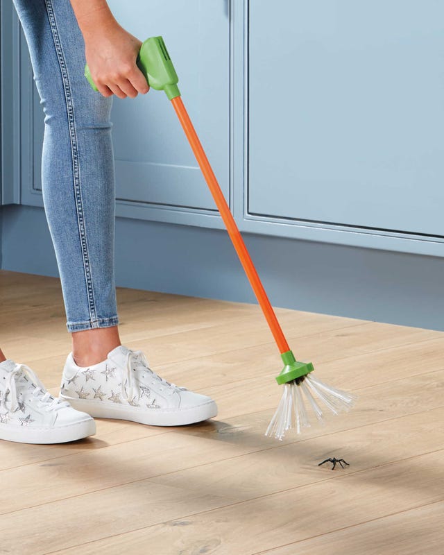 Spider catcher