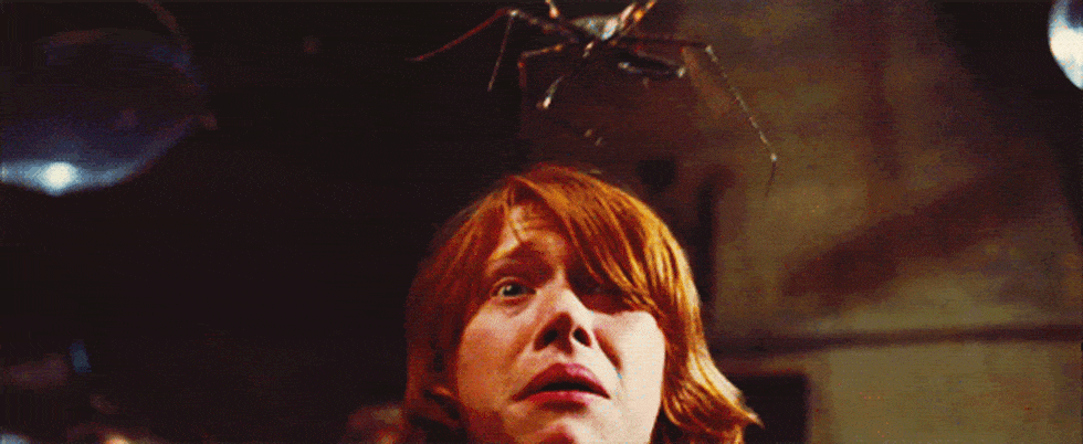 Ron spider scared