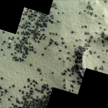 trace gas orbiter trace gas orbiter