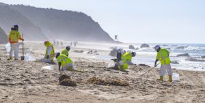 laguna beach, ca   october 14 shoreline cleanup crews search for tar balls that have washed ashore along the beach at crystal cove state park in laguna beach on thursday, october 14, 2021 the tar on the sand, rocks and vegetation are remnants of the offshore oil spill near huntington beach in early october photo by mark rightmiremedianews grouporange county register via getty images