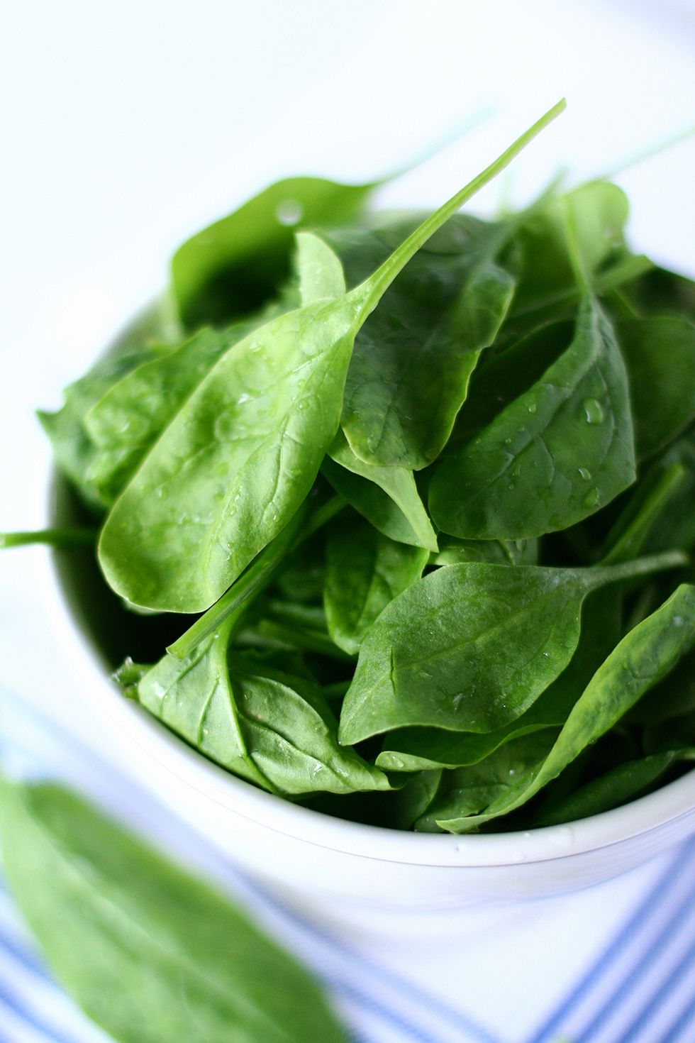 Food, Spinach, Leaf vegetable, Vegetable, Sorrel, Leaf, Plant, Spring greens, Spinach salad, Choy sum, 