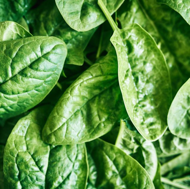 spinach inflorescence. green natural background.