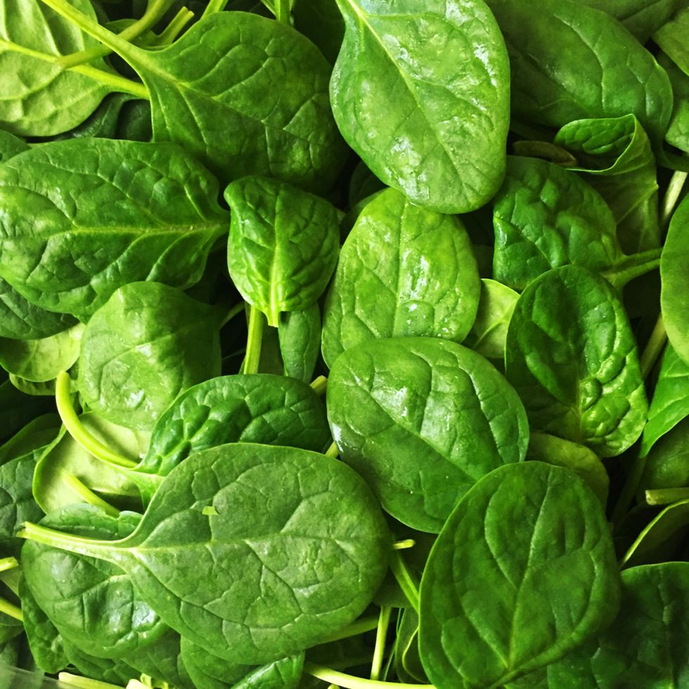 spinach leaves full frame and macro pic