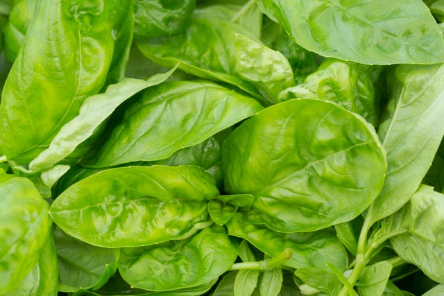 Spinach leaves