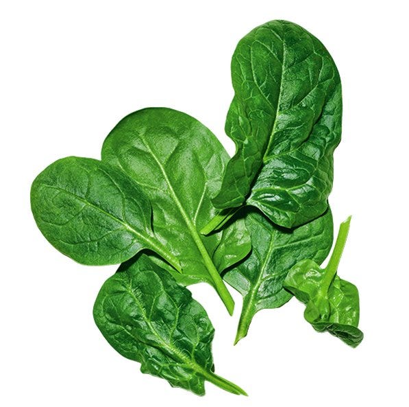spinach leaves on white background.