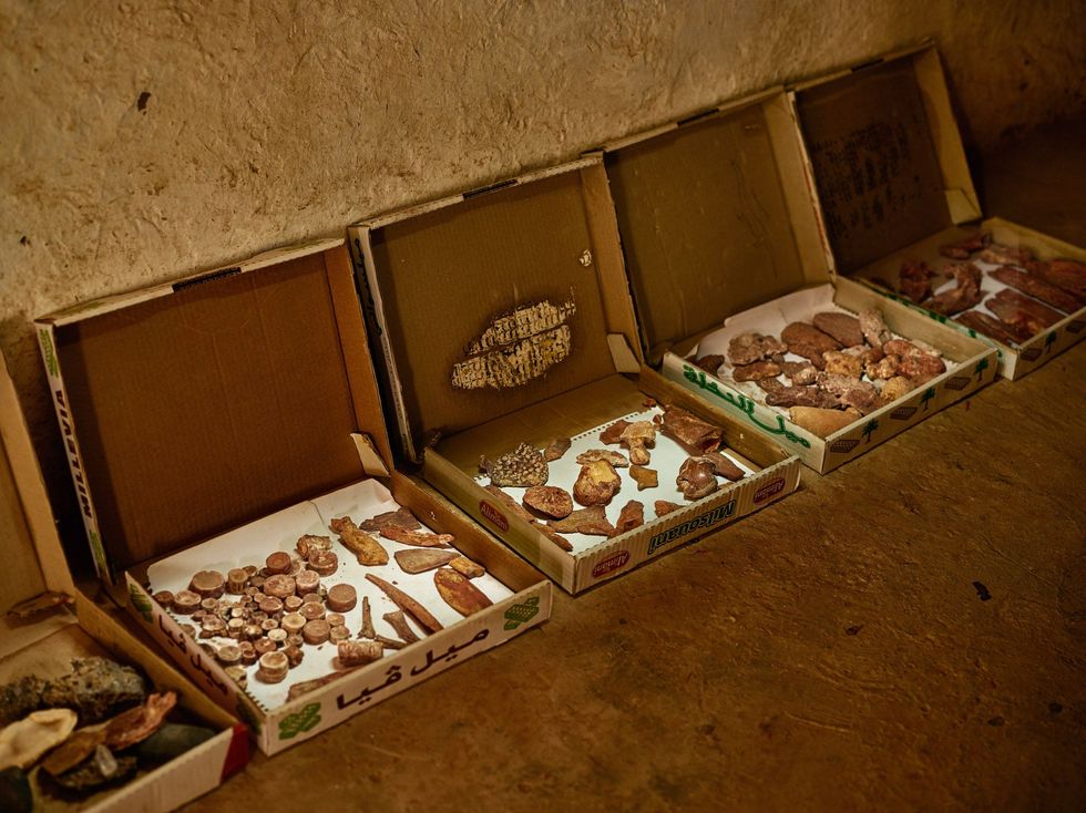 Langs de muur van een huis in Taouz Marokko worden gebaksdozen vol fossielen getoond aan bezoekers wetenschappers en eventuele kopers