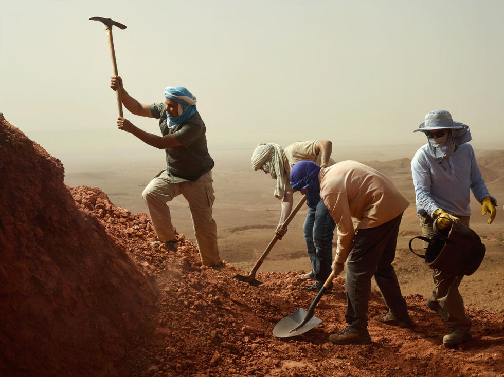 Met scheppen en pikhouwelen gaat het team rond paleontoloog Nizar Ibrahim de zandsteen op de vindplaats bij Zrigat in Marokko te lijf waar ze het skelet van een Spinosaurusopgraven