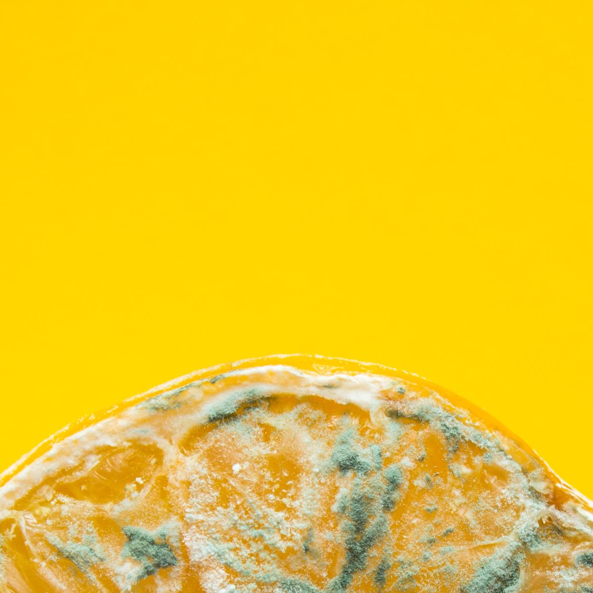 https://hips.hearstapps.com/hmg-prod/images/spoiled-lemon-halves-with-mold-close-up-on-a-yellow-royalty-free-image-1590593466.jpg?crop=0.356xw:0.534xh;0.316xw,0.0457xh&resize=1200:*
